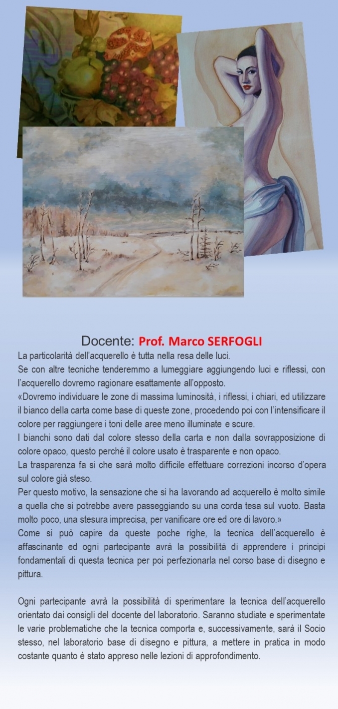 BREVE DESCRIZIONE DEL LABORATORIO - ARTISTICOILCASCINETTO - APS